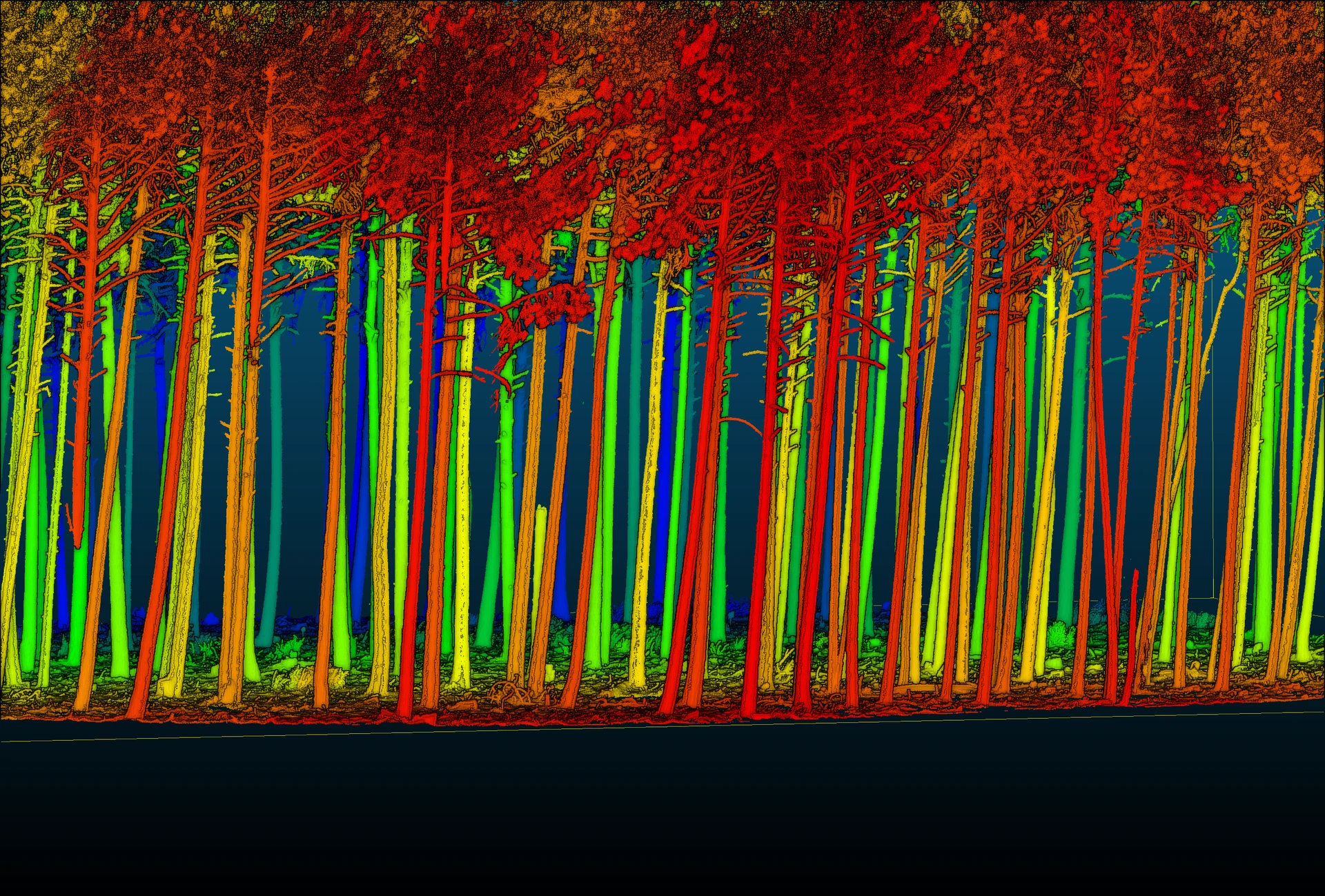 Modelo digital aplicado al análisis forestal