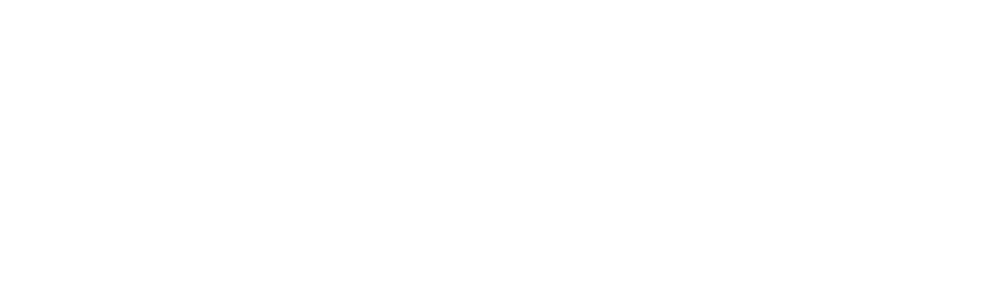 SYMBIA SOLUTIONS